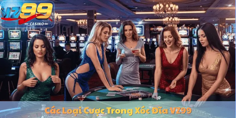 Xóc Đĩa VZ99: Hướng Dẫn Chi Tiết, Cách Chơi & Mẹo Thắng Lớn 6 Các Loại Cược Trong Xóc Đĩa VZ99